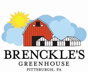 29873015_1424085637691774_554272822890171408_o