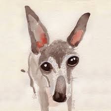 Picture of Rocket Loves Blue