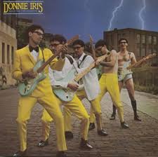 Picture of Donnie Iris