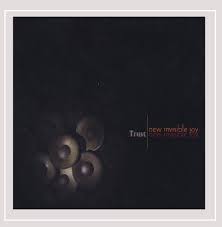 Picture of New Invisible Joy