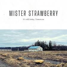 Picture of Mister Strawberry