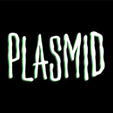 Picture of Plasmid