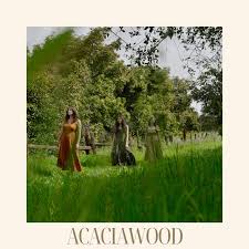 Picture of Acaciawood