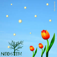 Picture of Neostem