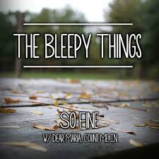 Picture of The Bleepythings