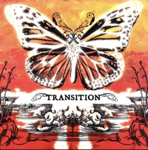 Picture of Transition