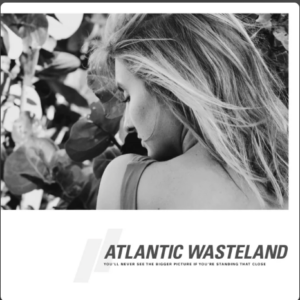 Picture of Atlantic Wasteland