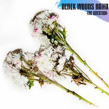 Picture of Derek Woods Band