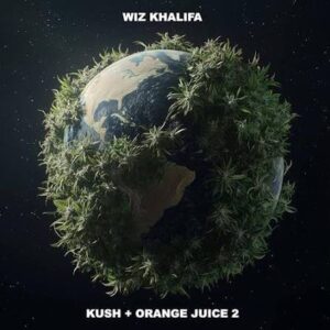 Picture of Wiz Khalifa