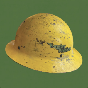 Picture of Forestry Division - André Costello