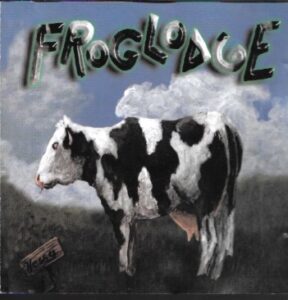 Picture of Froglodge